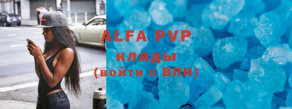 гашик Заводоуковск