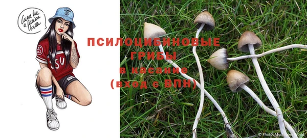 гашик Заводоуковск